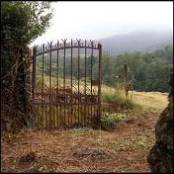 Camino Primitivo