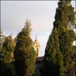 Camino Primitivo